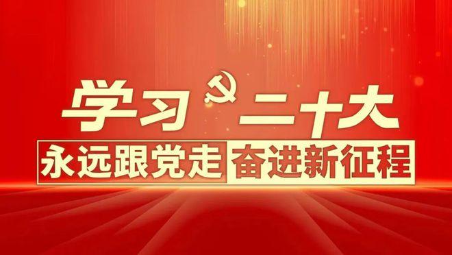 中国共产党第二十次全国代表大会关于十九届中央委员会报告的决议