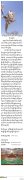 藏药理学基础理论与藏药材品种整理学习班的通知