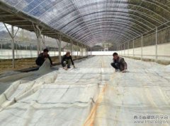 西藏藏医院人工种植技术获国家级发明专利