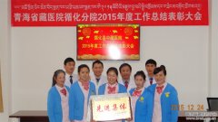 循化藏医院2015年工作总结表彰大会