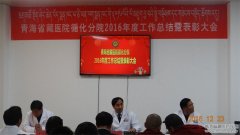 省藏医院循化分院召开总结表彰大会