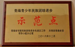 省藏医院获青少年民族团结进步示范点