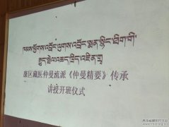 曲麻莱县藏医院举办《仲曼精要》培训班